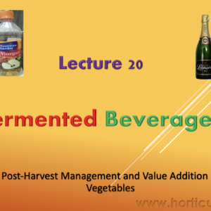 Fermented Beverages PPT